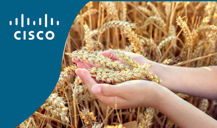  Cisco to invest in Australian agricultural IoT firm 
