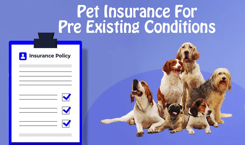  Best Pet Insurance For Pre Existing Conditions: Find the Perfect Policy 