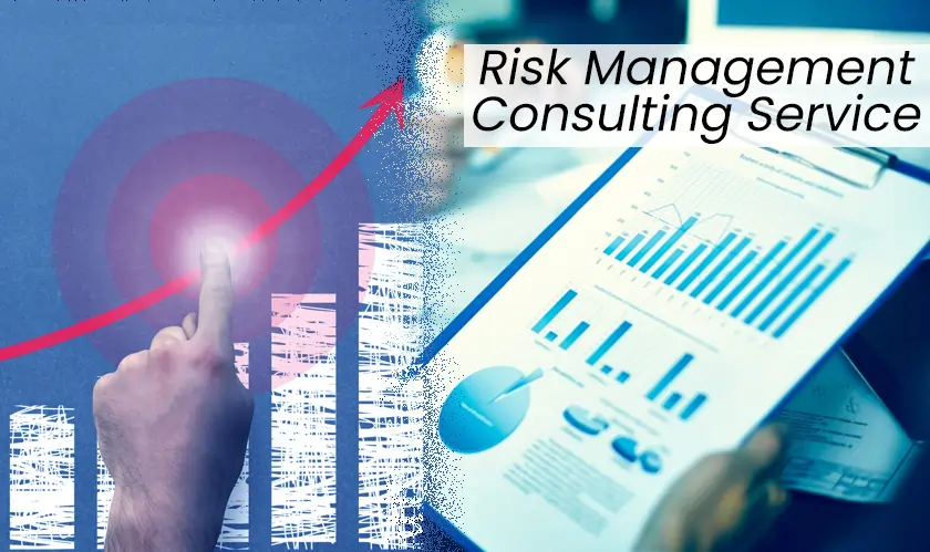  Risk Management Consulting Service, report, growth factors 