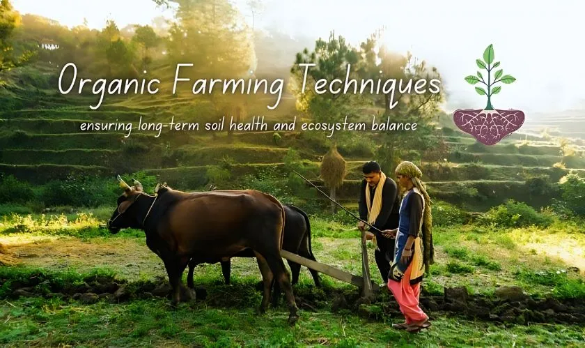  Top 10 Organic Farming 