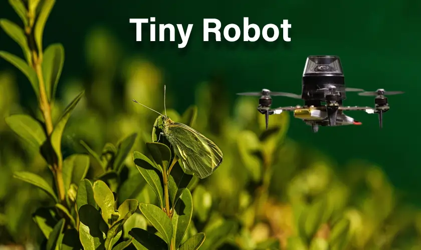  insect-inspired navigation, tiny robots, autonomous robots, Delft University, AI 