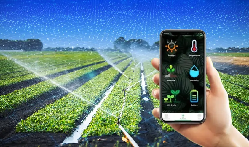 Smart IoT Irrigation System Tackles Water Scarcity