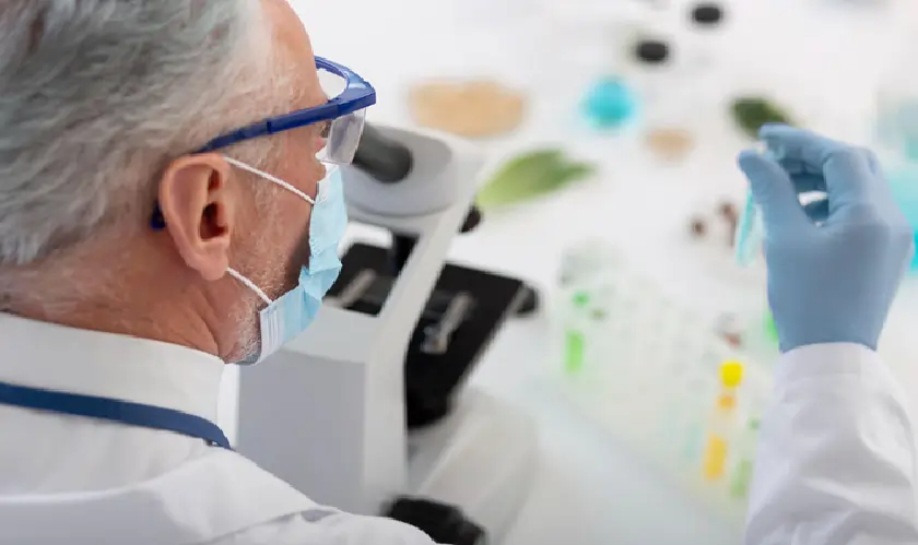 Microplastics in the Human Body: A Hidden Threat or Overstated Fear?