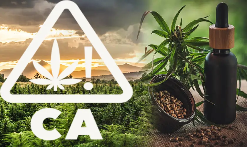 California Makes Industrial Hemp and CBD Rules Permanent