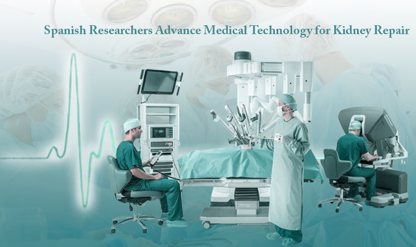 Spanish Researchers Advance Medical Technology for Kidney Repair