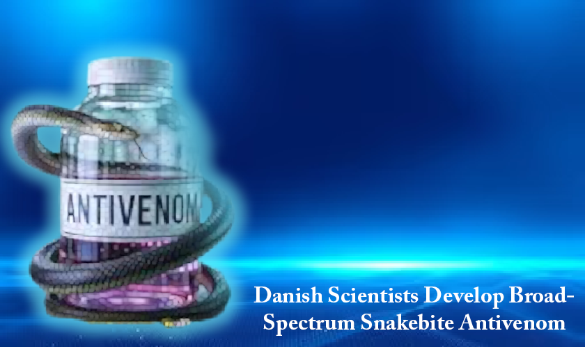 Danish Scientists Develop Broad-Spectrum Snakebite Antivenom