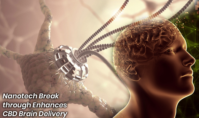 Nanotech Breakthrough Enhances CBD Brain Delivery