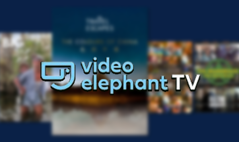 VideoElephant Expands FAST Channel Operations