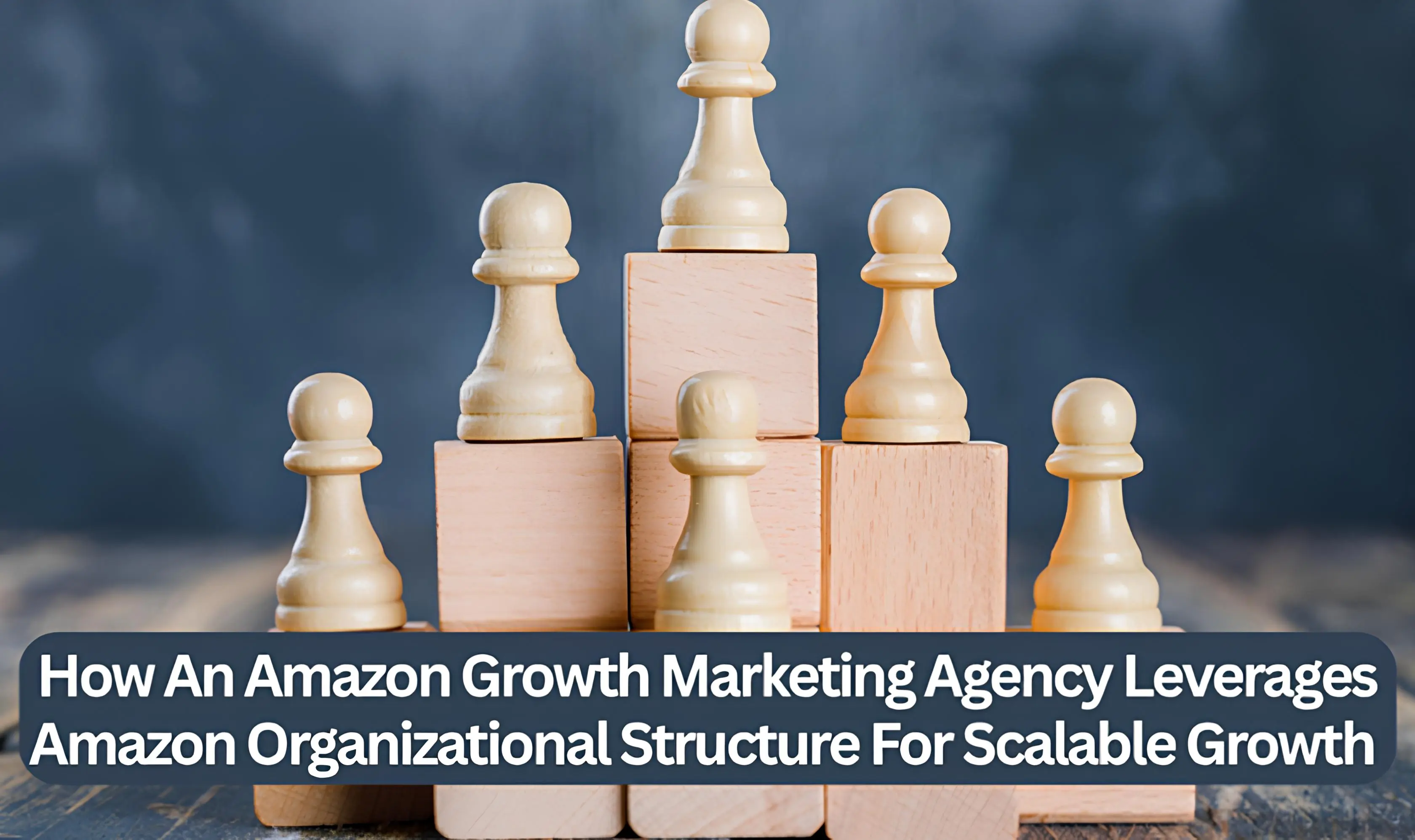 Amazon Growth Agency Using Org Structure to Scale