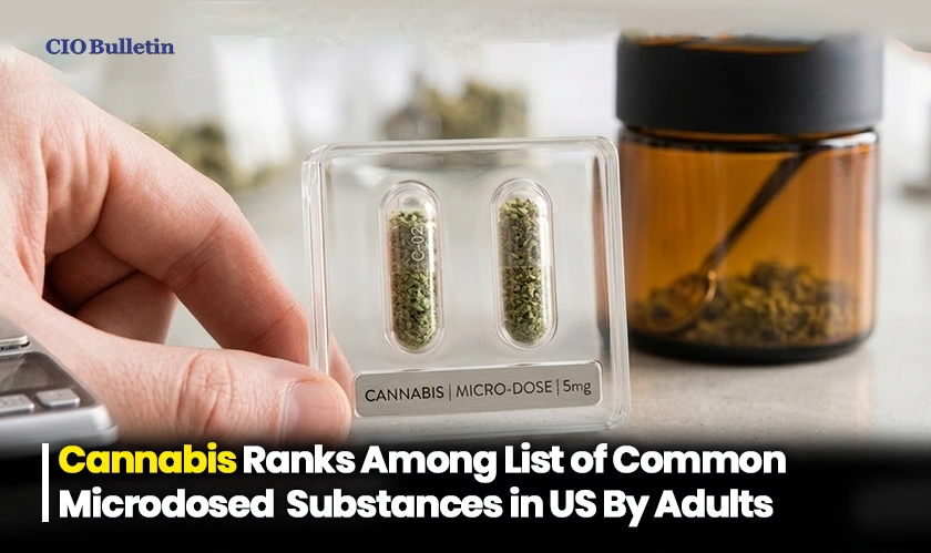 Cannabis Ranks Among List of Common Microdosed Substances in US By Adults