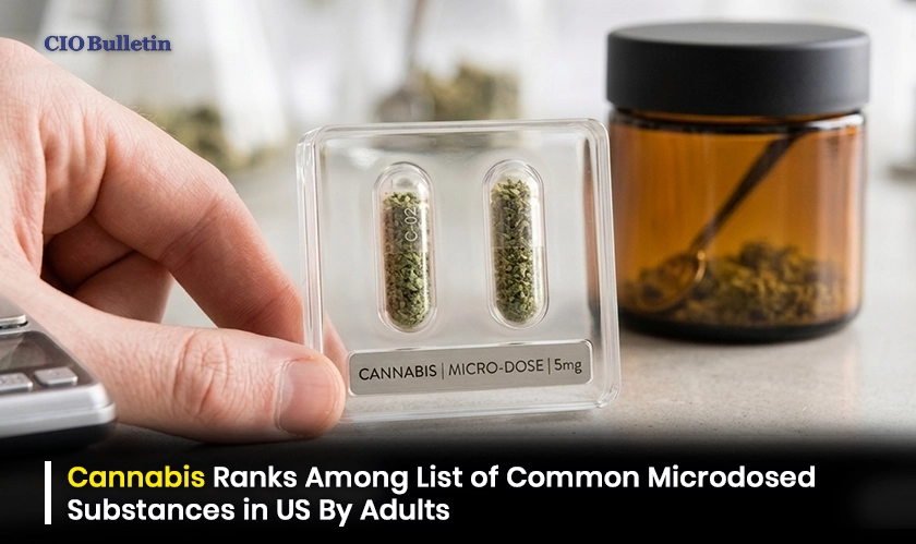 Cannabis Ranks Among List of Common Microdosed Substances in US By Adults