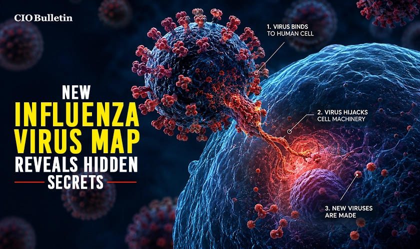  New Influenza Virus Map Reveals Hidden Secrets 