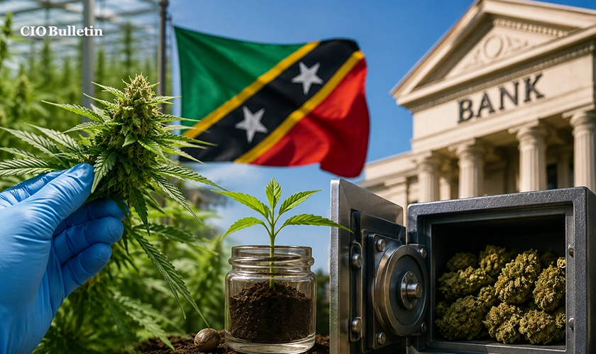 st kitts sets global standard with seed to bank cannabis system