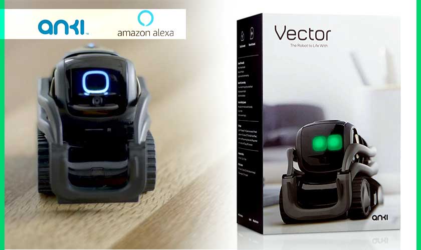 Anki's Vector robot will be getting an Echo-style blue ring soon