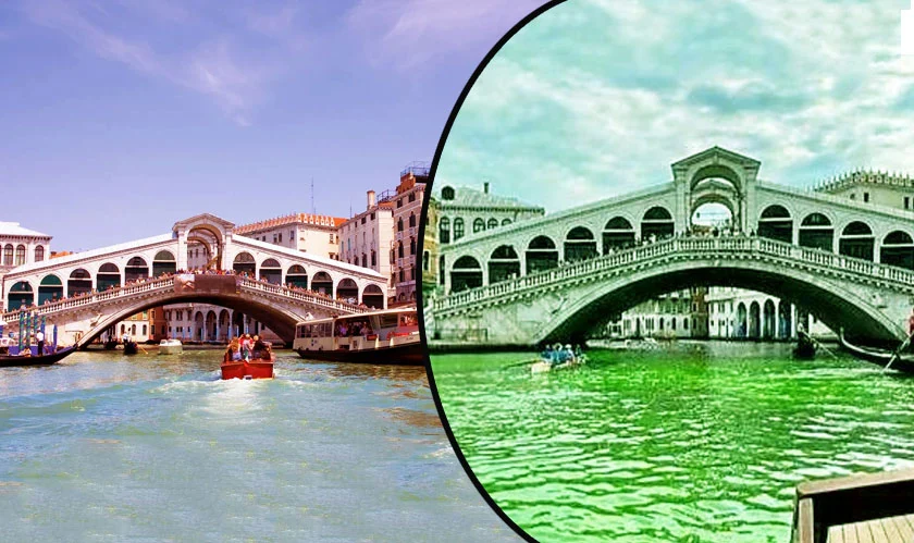 The Grand Canal in Venice turns mysteriously green