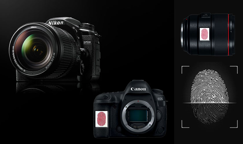 Canon and Nikon to add Fingerprint Sensors to Cameras
