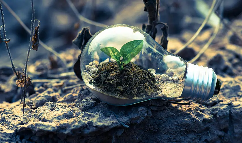 cem-odev-green-energy-responsibility