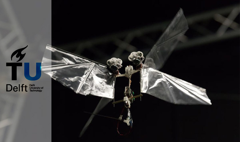 Robots that fly like insects? The DelFly Nimble robots deliver that!