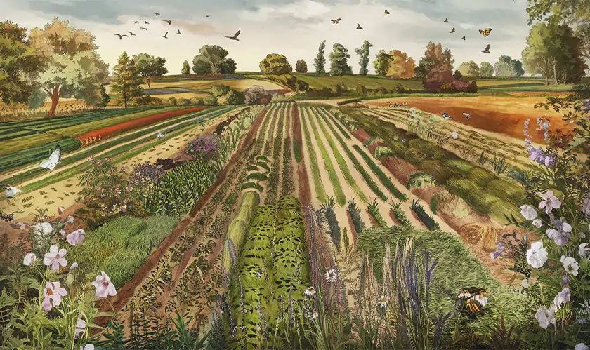 EEA’s Biodiversity-Friendly Farming