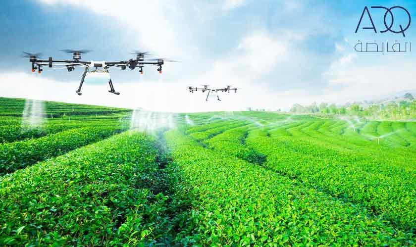 ADQ to develop a farming hub in UAE