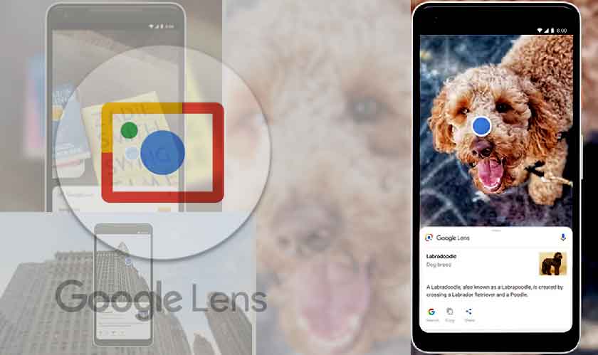 Nearly a billion things can be recognized by Google Lens