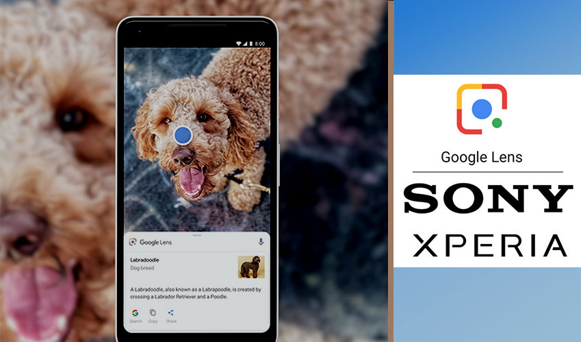 Look up the Google Lens on Sony Xperia!