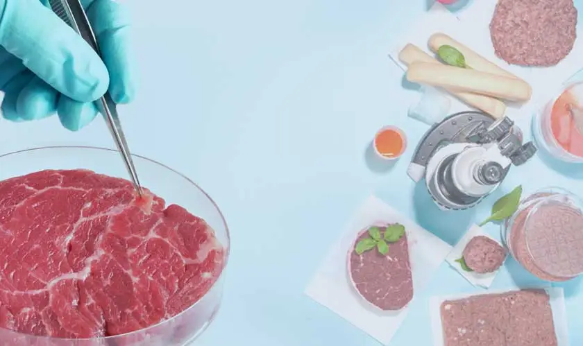 lab-grown meat cost