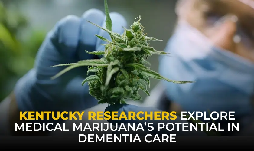 Medical Marijuana’s Potential in Dementia Care