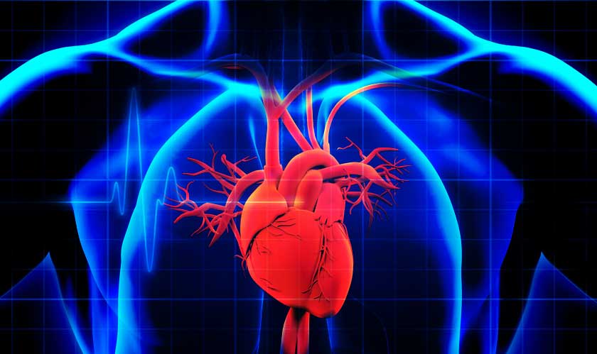 MIT's RiskCardio can estimate the risk of cardiovascular death