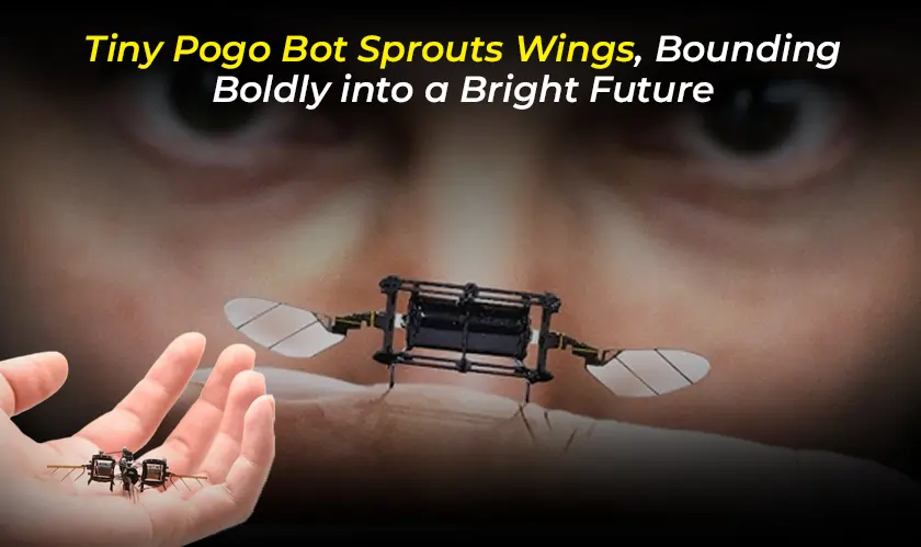 Pogo Bot Sprouts Wings