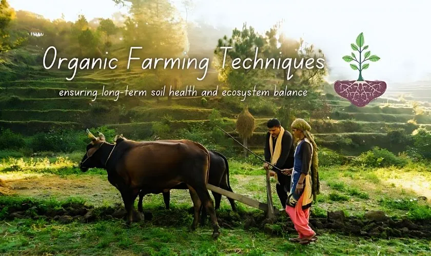 Top 10 Organic Farming
