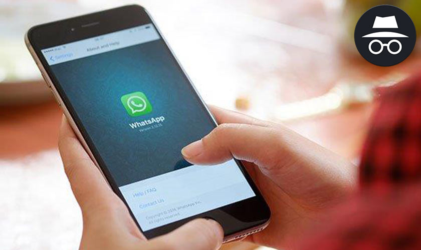 Whatsapp rolls out a new feature to enhance the app experience