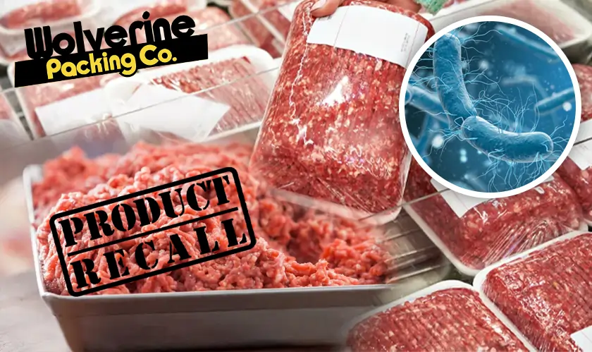 Ground Beef Recall: E.coli Found in Wolverine Packing Co.