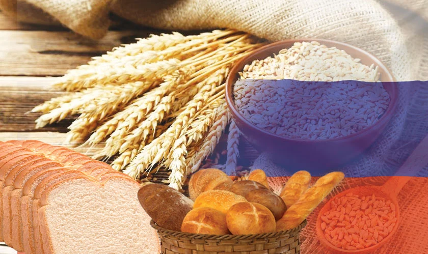 Russian breadbasket observes high yields as wheat harvest begins