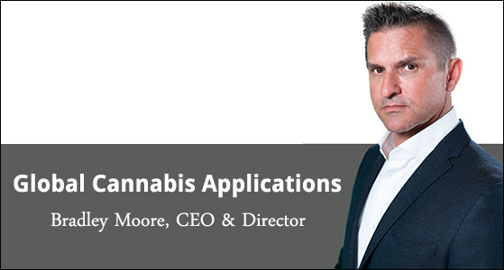 StreetLight, transportation analysis platform