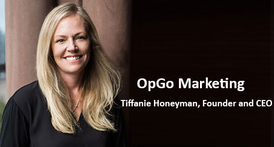 StreetLight, transportation analysis platform